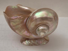 Art Deco Mother of Pearl Turban SEASHELL Pedestal Caviar Bowl, Vase, Dish!