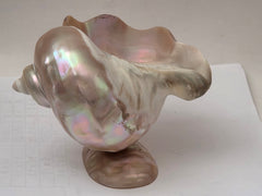 Art Deco Mother of Pearl Turban SEASHELL Pedestal Caviar Bowl, Vase, Dish!