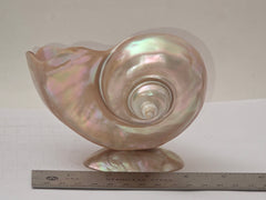 Art Deco Mother of Pearl Turban SEASHELL Pedestal Caviar Bowl, Vase, Dish!