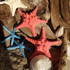 PAIR Glamourized SHIMMERING CORAL or BLUE Starfish with Swarovski Crystals!