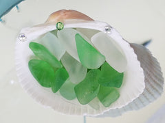 BEAUTIFUL SEASHELL WITH SEA GLASS & SWAROVSKI CRYSTALS!