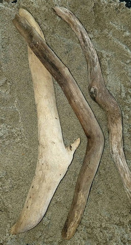 9 1/2" - 12"   3 Pieces of Driftwood