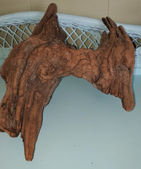 BEAUTIFUL PIECE OF DRIFTWOOD! DECOR, PLANTER, HANG...!