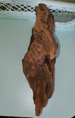 BEAUTIFUL PIECE OF DRIFTWOOD! DECOR, PLANTER, HANG...!