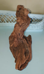 BEAUTIFUL PIECE OF DRIFTWOOD! DECOR, PLANTER, HANG...!