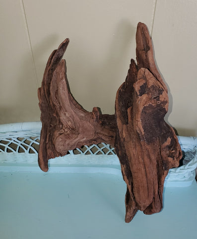 BEAUTIFUL PIECE OF DRIFTWOOD! DECOR, PLANTER, HANG...!