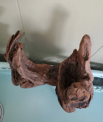 BEAUTIFUL PIECE OF DRIFTWOOD! DECOR, PLANTER, HANG...!