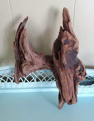 BEAUTIFUL PIECE OF DRIFTWOOD! DECOR, PLANTER, HANG...!